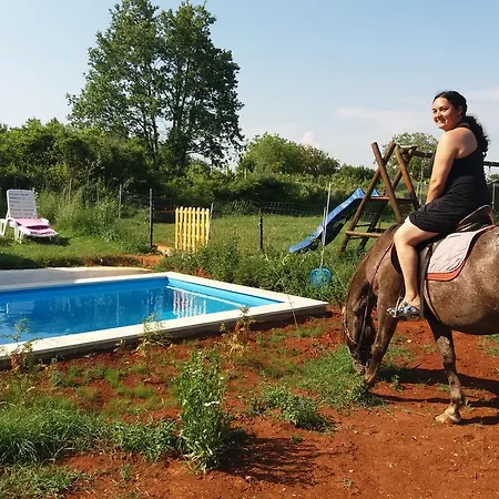 Holiday home Holiday Prodol Bale