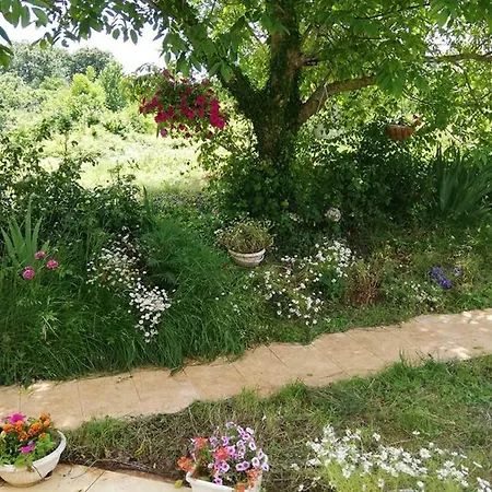 Holiday Prodol Holiday home Bale
